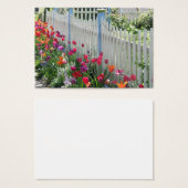 Tulips Garden Along White Picket Fence (Front & Back)