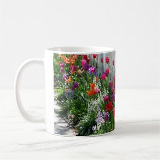Tulips garden white picket fence mug Ghiradelli