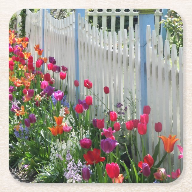 Tulips garden white picket fence square coasters (Front)