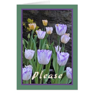 Tulips/Get Well Soon/From All Of Us