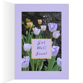 Tulips/Get Well Soon/From All Of Us