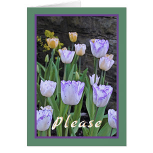 Tulips/Get Well Soon/From All Of Us Cards
