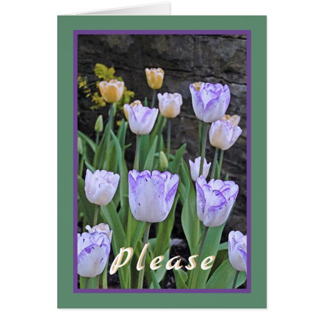 Tulips/Get Well Soon/From All Of Us Cards (Front)