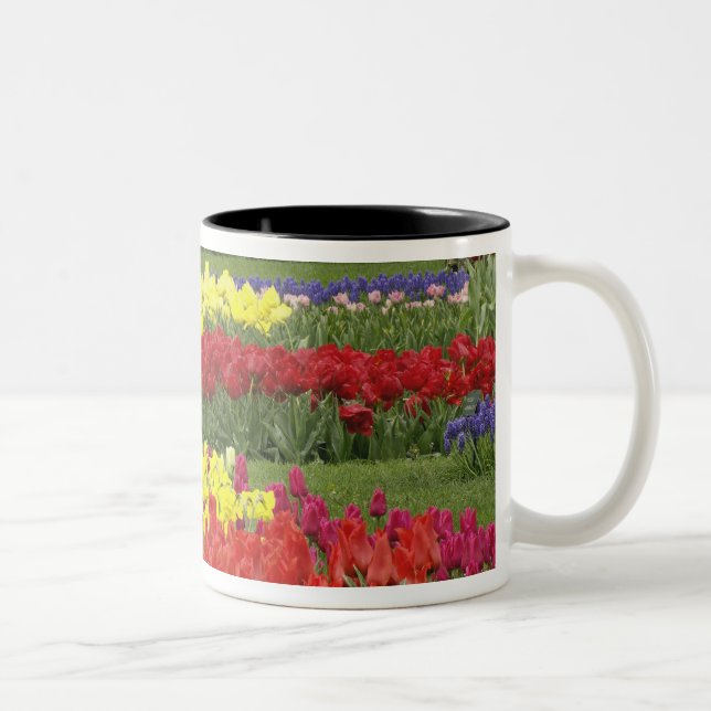 Tulips, Grape Hyacinth, and Daffodils, 2 Two-Tone Coffee Mug (Right)
