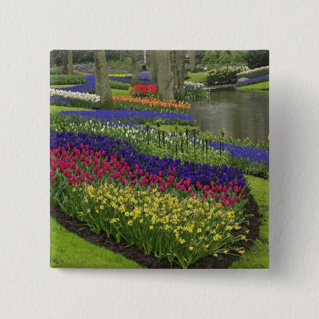 Tulips, Grape Hyacinth, and daffodils, Button (Front)
