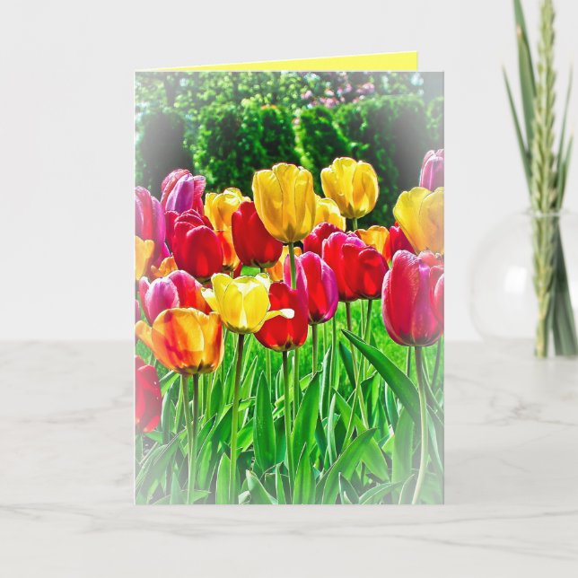 Tulips Greeting Card (Front)