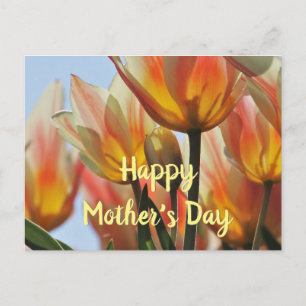 Tulips Happy Mother's Day Postcard