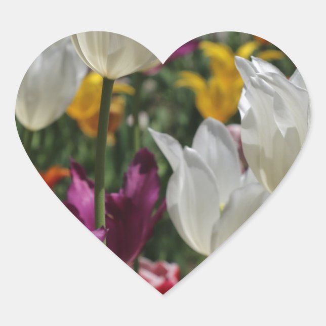 Tulips Heart Sticker (Front)