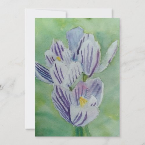 tulips holiday card