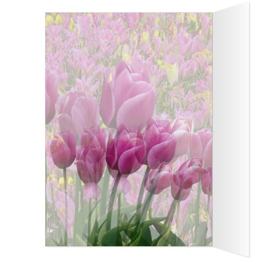 Tulips in a Garden (Inside (Left))