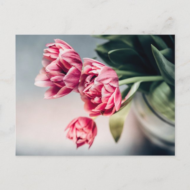 Tulips in a Vase Postcard (Front)