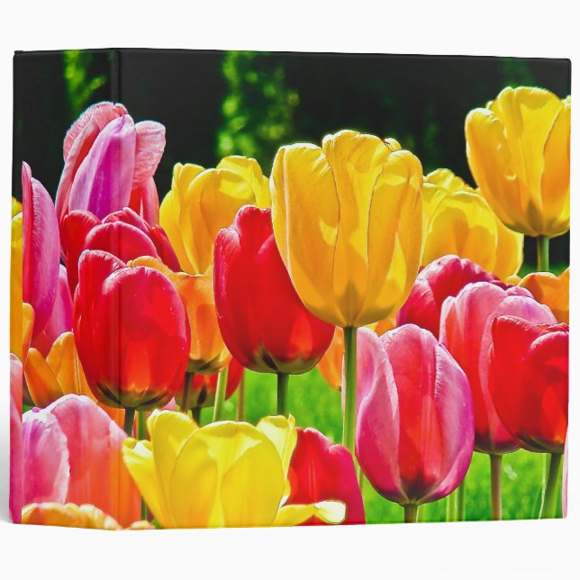 Tulips in Full Bloom Binder Notebook Album (Front/Spine)