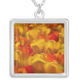 Tulips in Keukenhof Gardens, Amsterdam, 2 Silver Plated Necklace