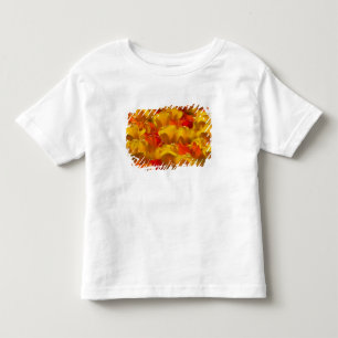 Tulips in Keukenhof Gardens, Amsterdam, 2 Toddler T-shirt