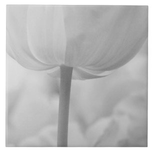 Tulips in Keukenhof Gardens, Holland. Tile