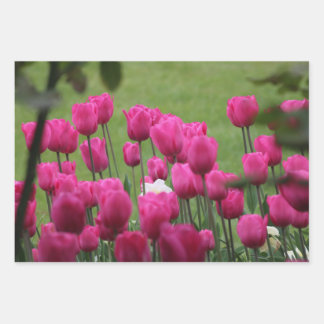 Tulips in Palais Royal Wrapping Paper Sheets