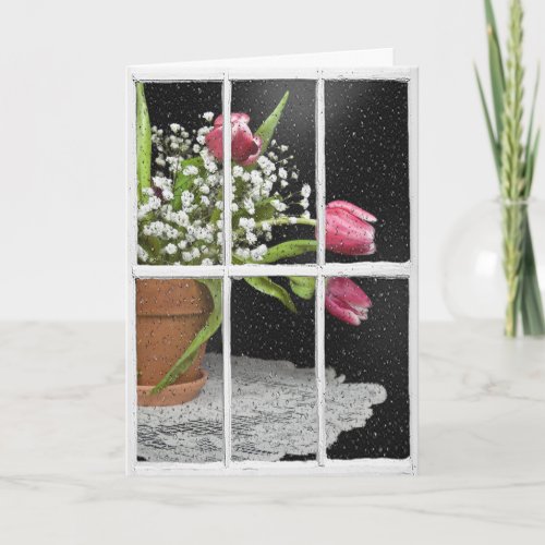 Tulips in pot in window card