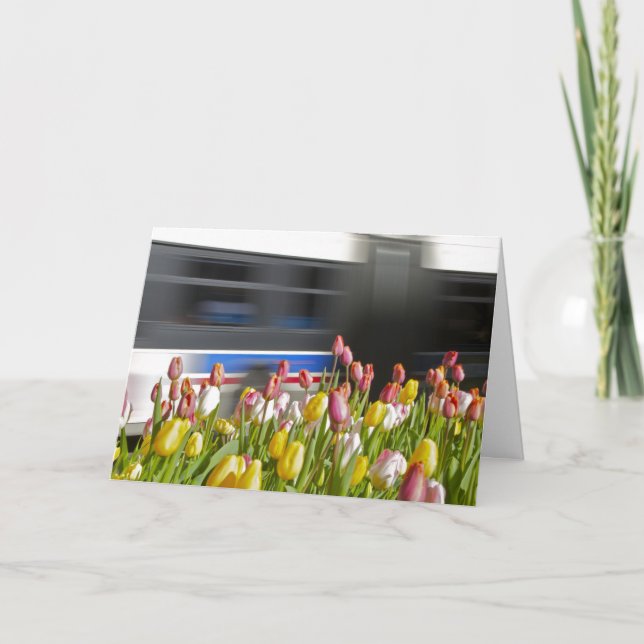 Tulips in the city wit card (Front)