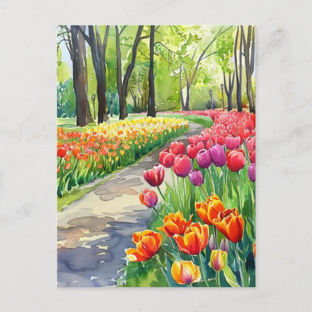 Tulips in The Park Postcard (Front)