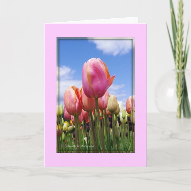Tulips In The Sun - Blank Card (Front)