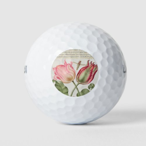 Tulips Insect and Worm from Mira Calligraphiae Golf Balls