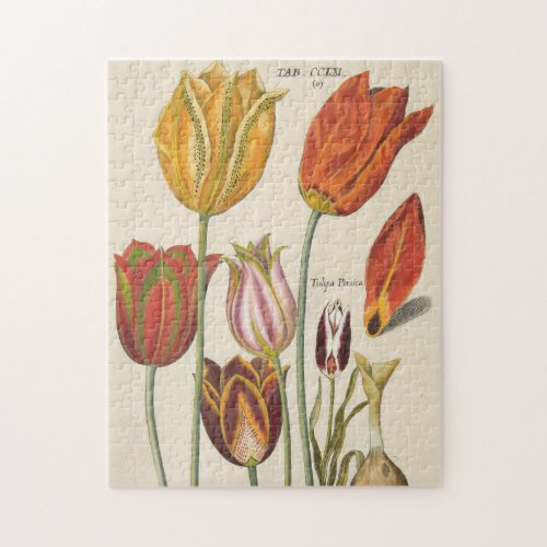 Tulips Jigsaw Puzzle