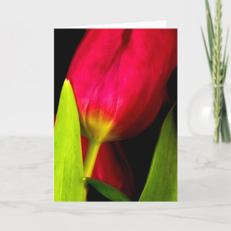 Tulips Letterpress Thank You Card