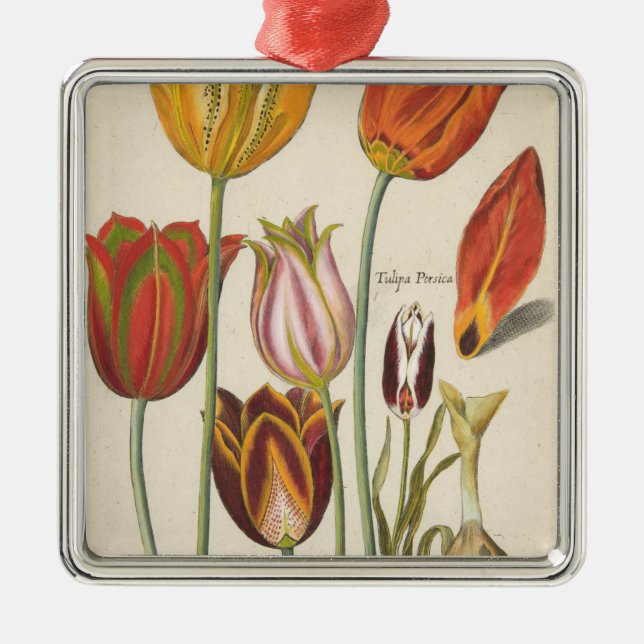 Tulips Metal Ornament (Front)