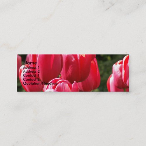 Tulips Business Card Templates