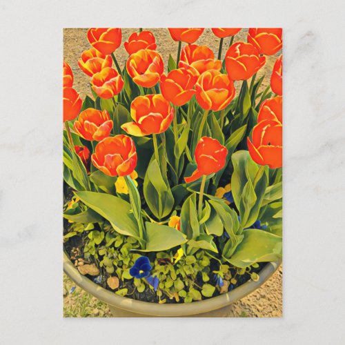 Tulips modern floral flower festival postcard