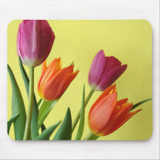 Tulips Mouse Pad