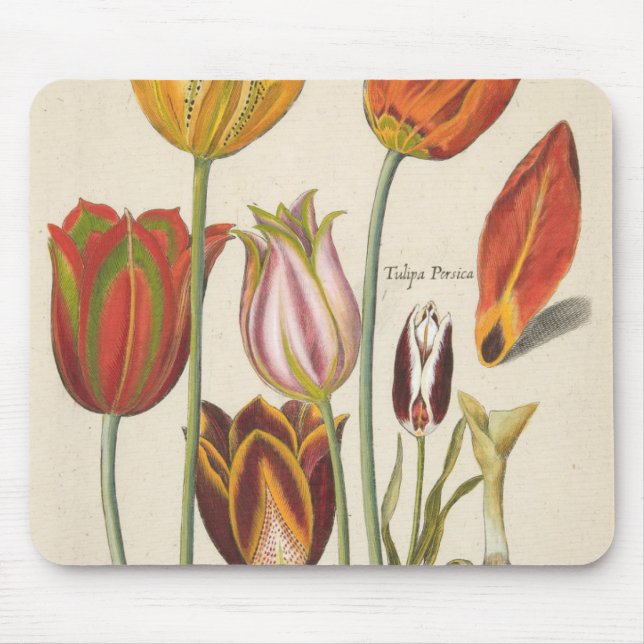 Tulips Mouse Pad (Front)