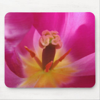 TULIPS MOUSEPADS Pink Tulip Flowers MOUSE PAD
