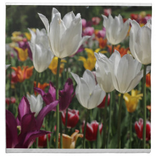 Tulips napkins