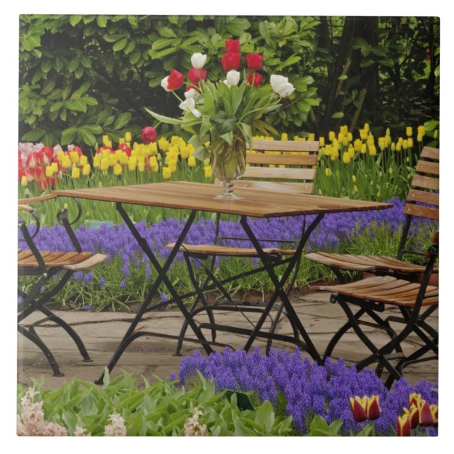Tulips of table in garden, Keukenhof Gardens, Ceramic Tile (Front)