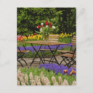 Tulips of table in garden, Keukenhof Gardens, Postcard