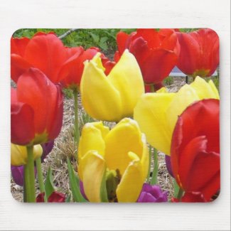 Tulips of the Botanical Garden mousepad