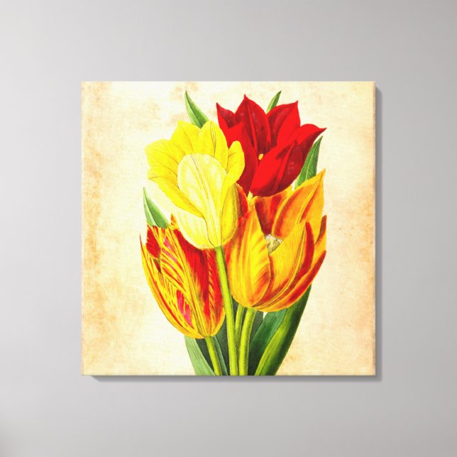 Tulips oil painting canvas print (Front)