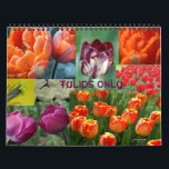 tulips only calendar<br><div class="desc">if you're a tulip lovers here's a calendar for 2010.</div>