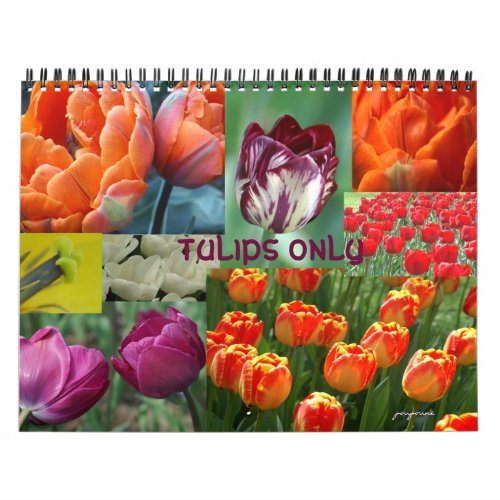 tulips only calendar