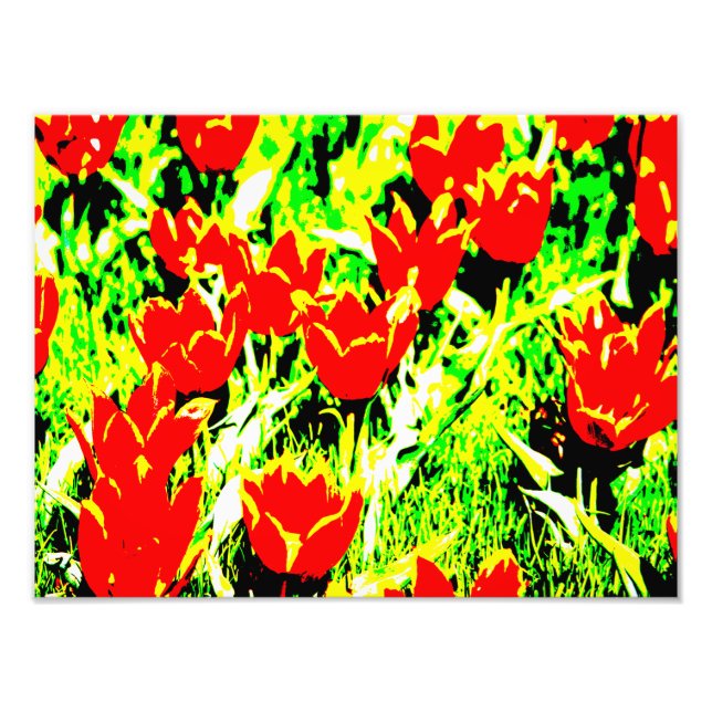 Tulips Photo Print (Front)