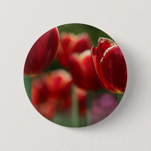 Tulips Pinback Button (Front)