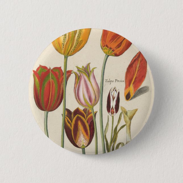 Tulips Pinback Button (Front)