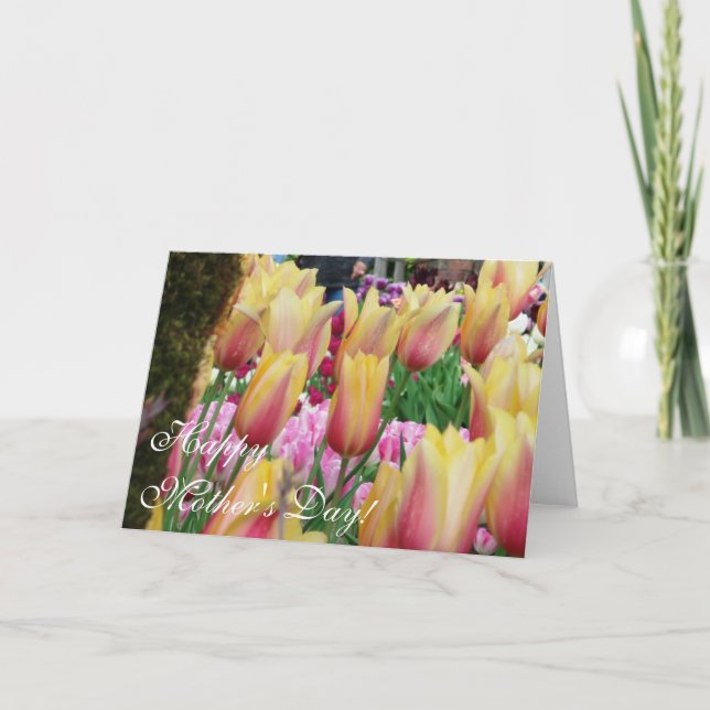 Tulips - Pink and Yellow - Happy Mother's Day Card (Front)