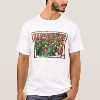 Tulips Pink Melange Ringer T-Shirt