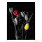 Tulips Poster