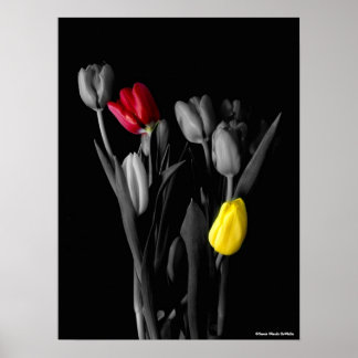 Tulips Poster