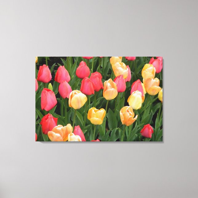 Tulips(Red/Yellow) Wrapped Canvas Print (Front)