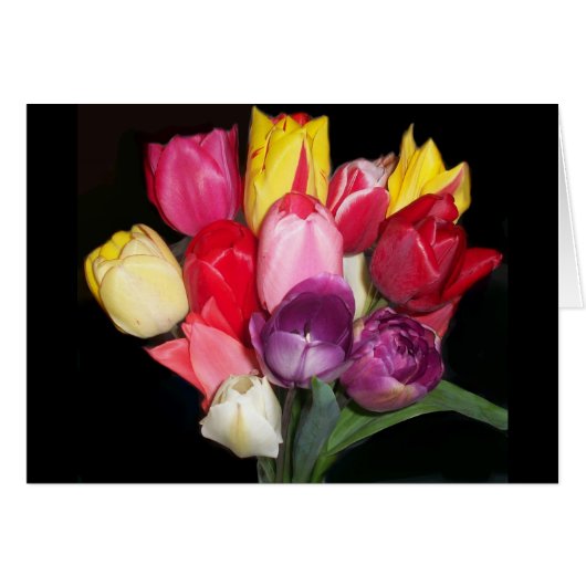 Tulips Says it All Cards (Front Horizontal)