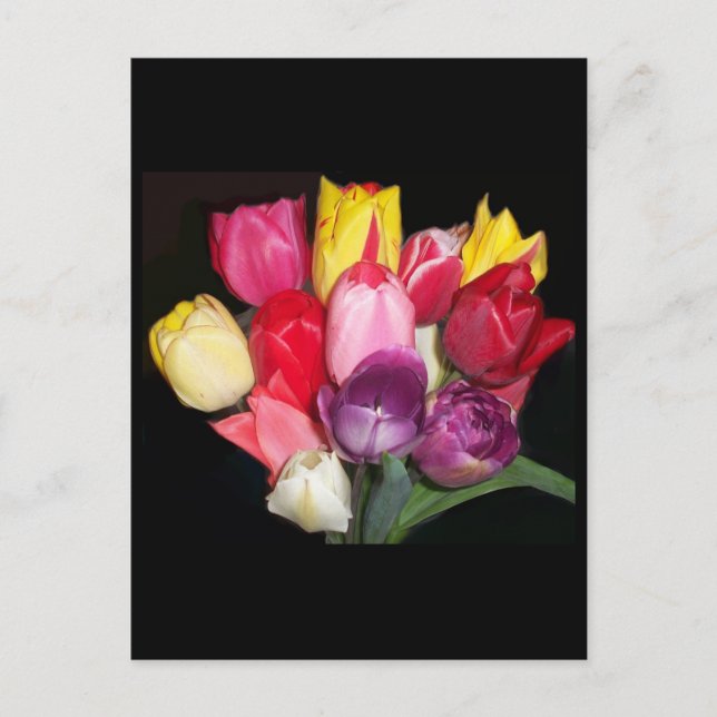 Tulips Says it All Postcard (Front)